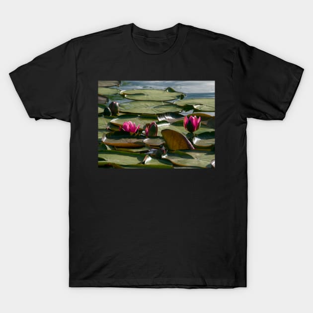 Pond with Water Lilies T-Shirt by algill